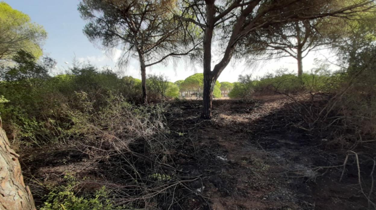 El incendio tuvo lugar alrededor de las 22.00 horas e inmediatamente fue sofocado por los Bomberos.