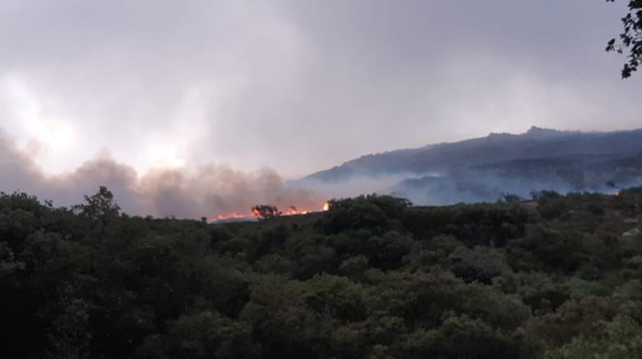 Imagen del incendio forestal en Tarifa.