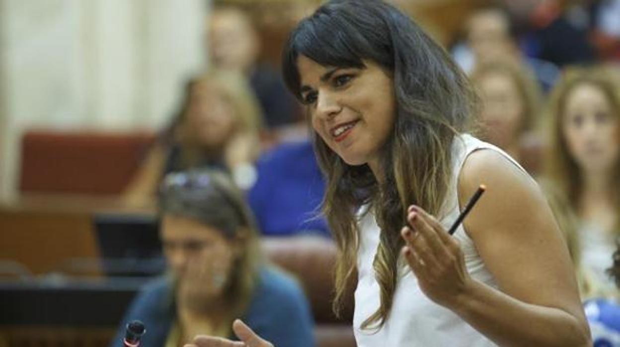 Teresa Rodríguez regresa al Parlamento tras su baja maternal.