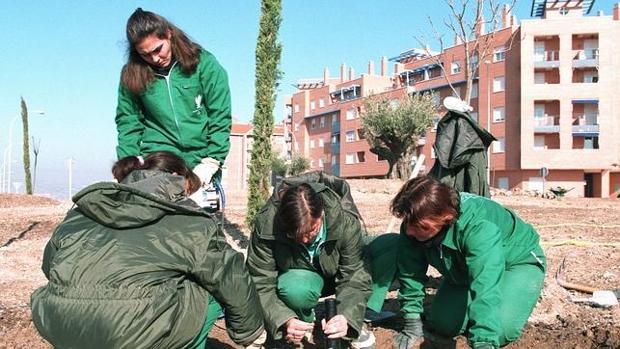 San Juan solicitará la ampliación de la oferta de Formación Profesional en dos institutos de la localidad