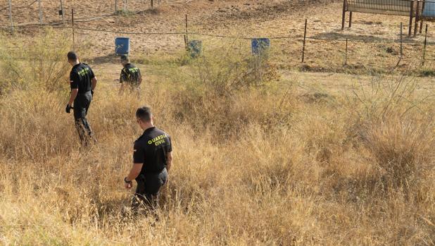 Un equipo especializado busca hoy en un pozo cercano para localizar a la anciana desaparecida en Carmona