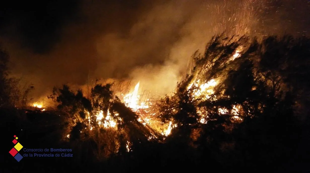 Los bomberos del parque de Jerez extinguen un incendio de matorrales esta madrugada