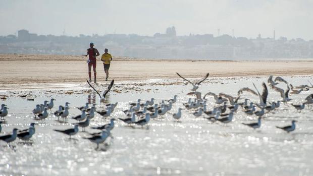 Moreno no descarta unir Huelva y Cádiz por mar y asegura que «por encima» de todo está «proteger» Doñana