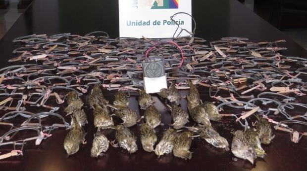 Golpe a la caza ilegal de aves protegidas con el arresto de tres personas en la provincia de Cádiz