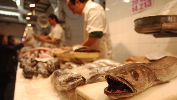 Indignación en el sector pesquero gaditano por el anuncio de Sanidad sobre el pescado blanco