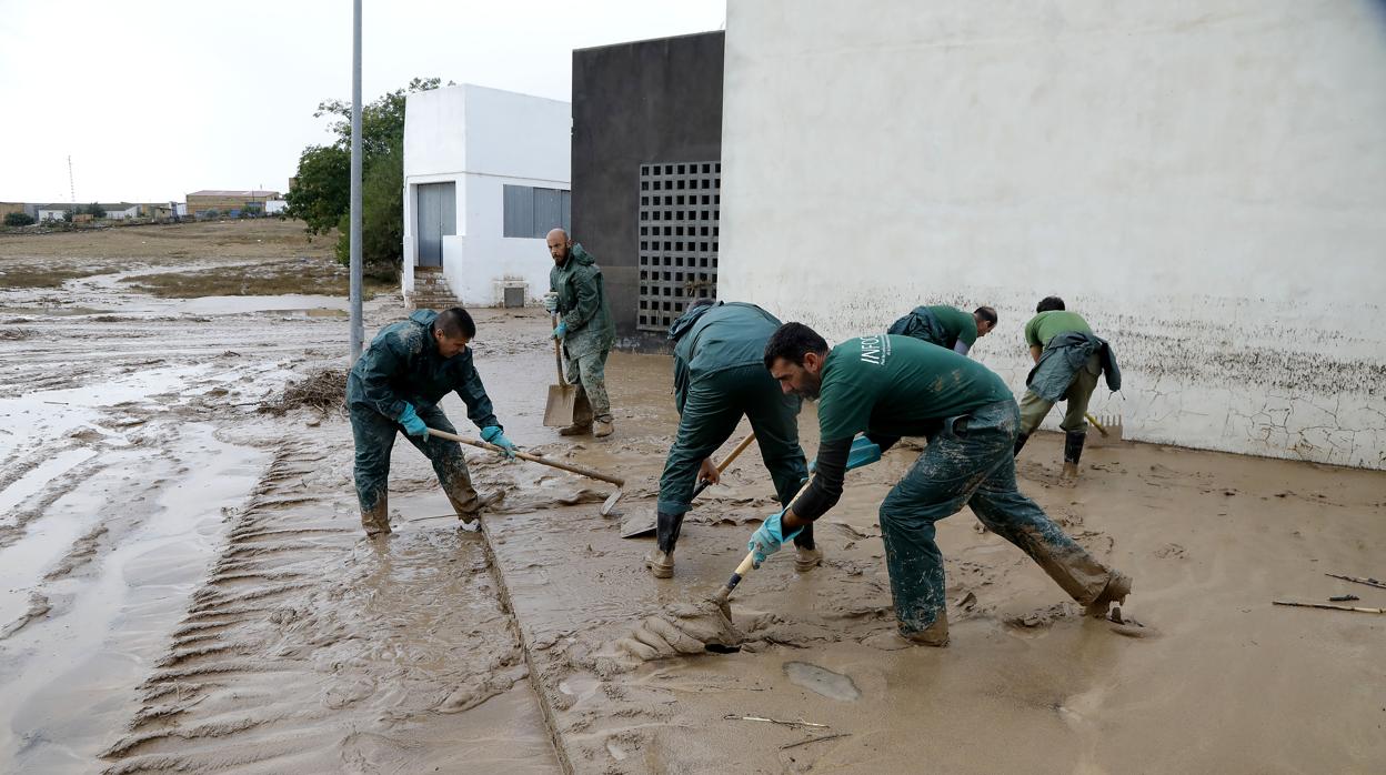 Varias personas trabajan en labores de limpieza en el municipio de El Rubio el pasado mes de octubre de 2018