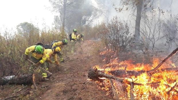 La superficie afectada en la provincia de Sevilla por los incendios de este verano ha sido de 379 hectáreas