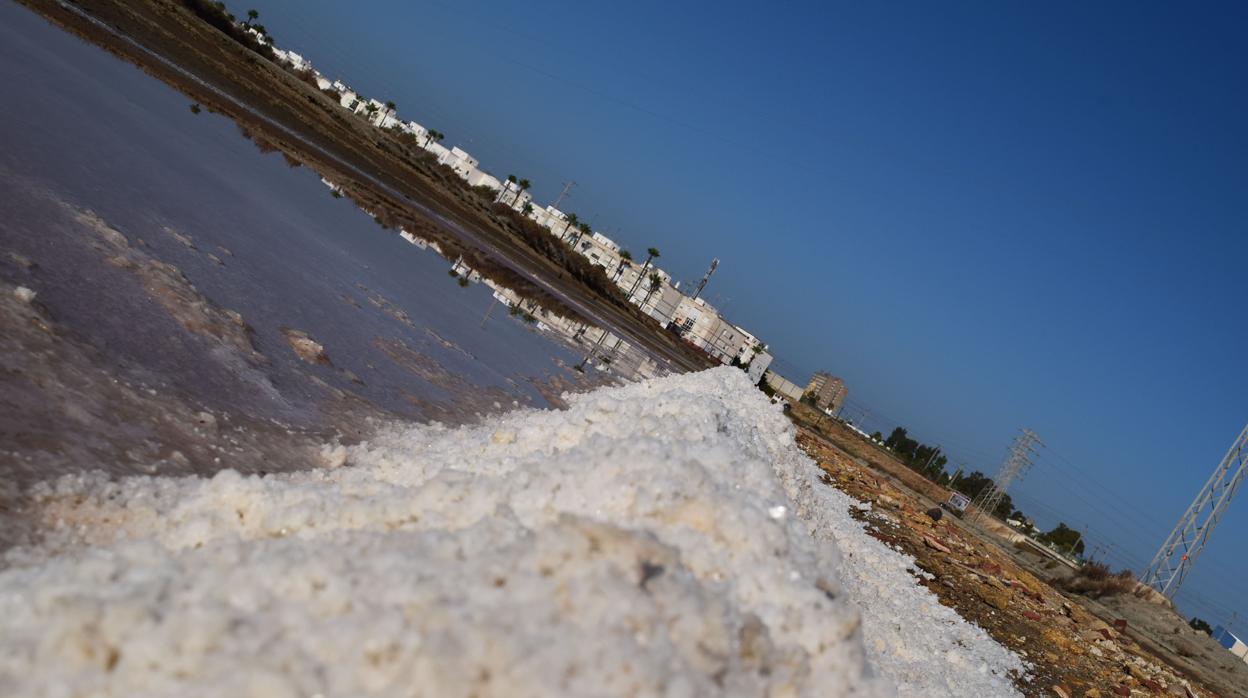 La sal es fuente de vida en la Bahía de Cádiz.