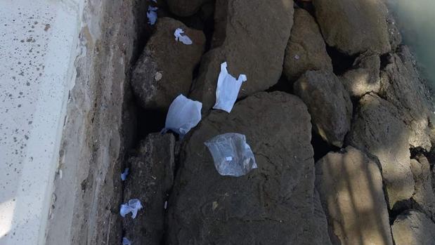 Guerra abierta al plástico en las aguas de la Bahía