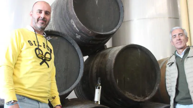 Una apuesta por el vino ecológico desde las pequeñas viñas del Marco de Jerez