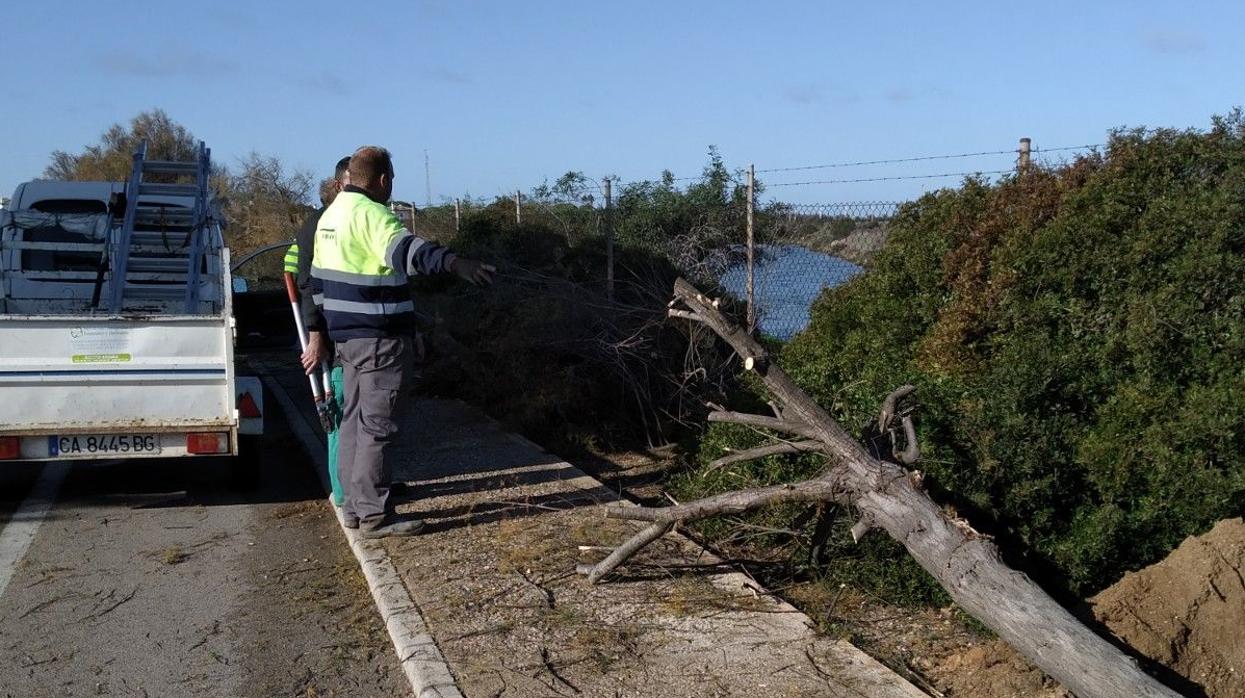 Comienzan las obras para la ampliación de la carretera de acceso a Sancti Petri