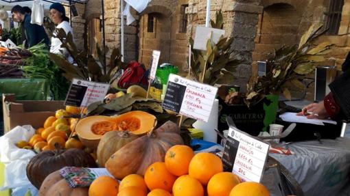 Qué hacer este fin de semana en Cádiz