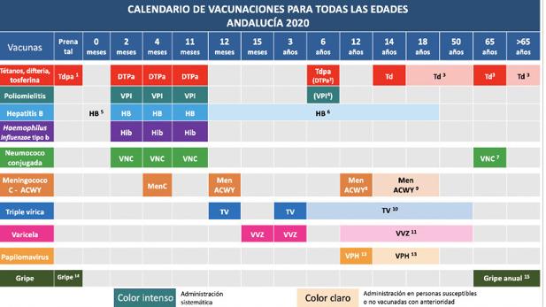 La tetravalente de la meningitis para 12 meses y 12 años, principal novedad del nuevo calendario vacunal