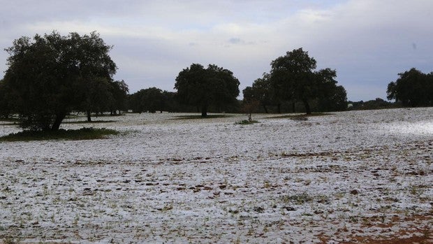 La nieve llega a la Sierra de Cádiz