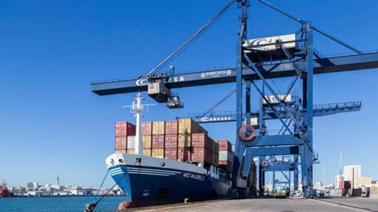 Imagen de la antigua terminal de contenedores del Puerto de Cádiz.