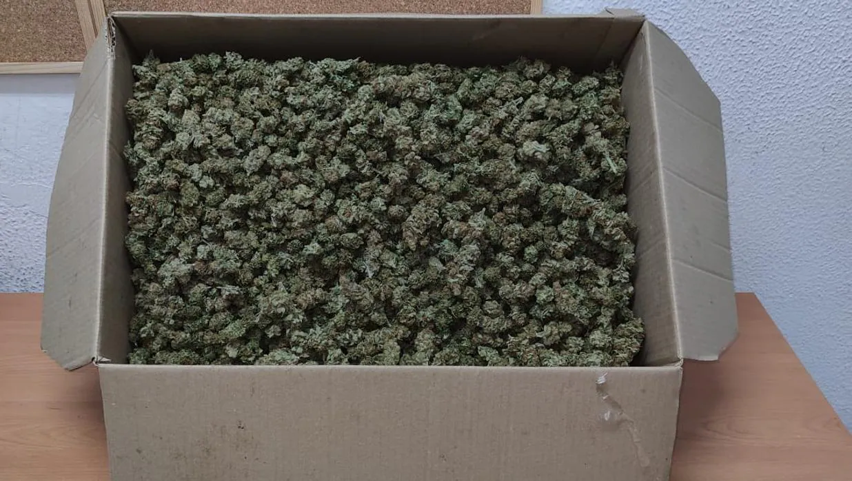 La caja con la marihuana.