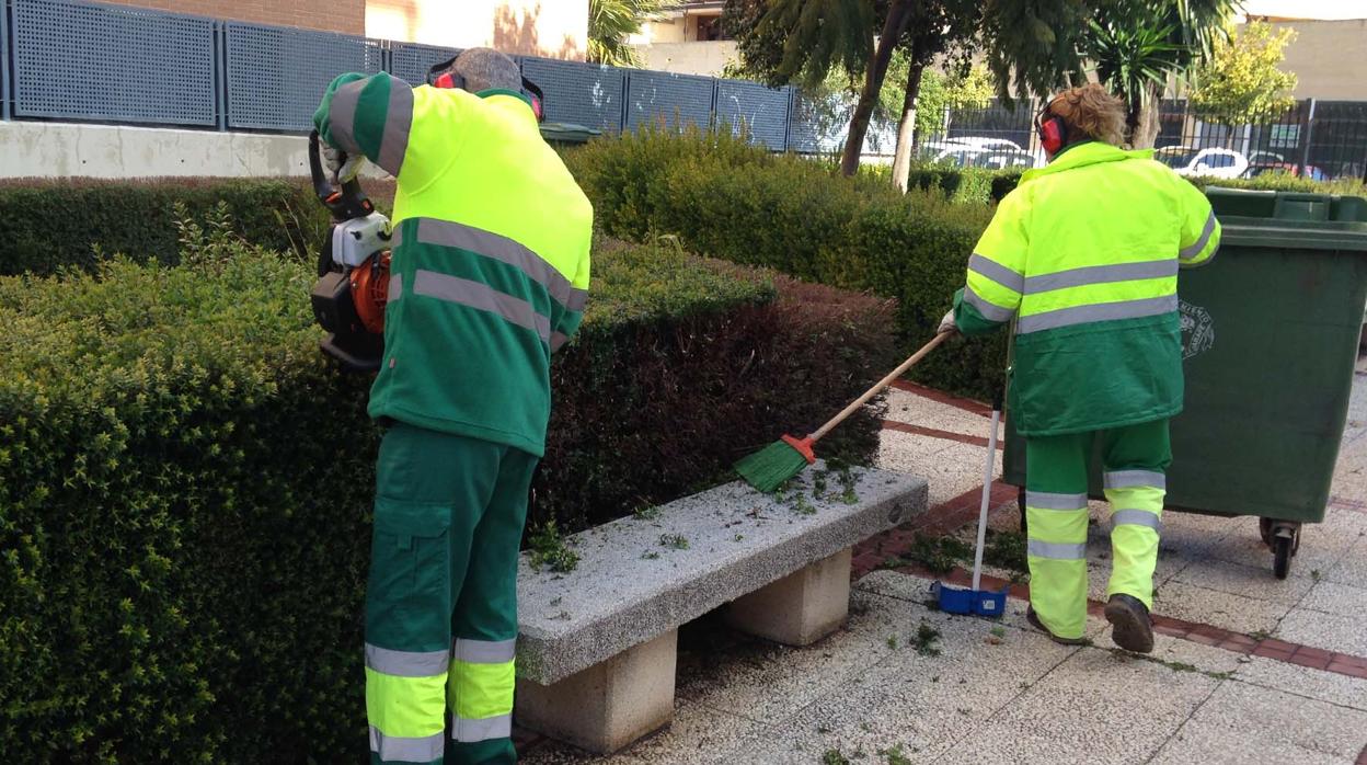 Dos operarios municipales durante la poda de un seto en una de las calles de Mairena del Aljarafe