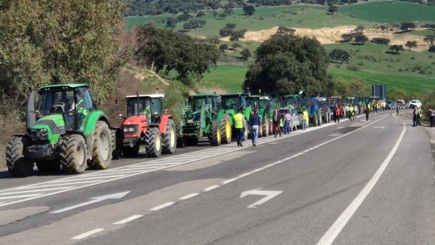 Los trabajadores del campo se movilizan en la Sierra de Cádiz