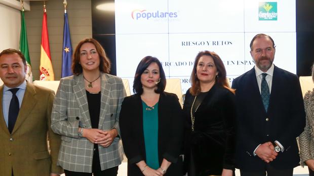 Virginia Pérez apunta a Villalobos y Verónica Pérez en el «engaño» del Consorcio de la Sierra Sur