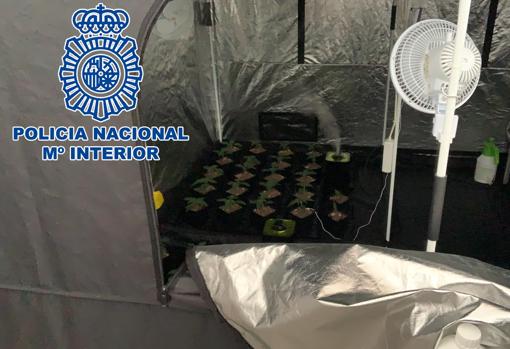 La Policía Nacional desmantela en La Línea un punto de venta de droga «muy activo»