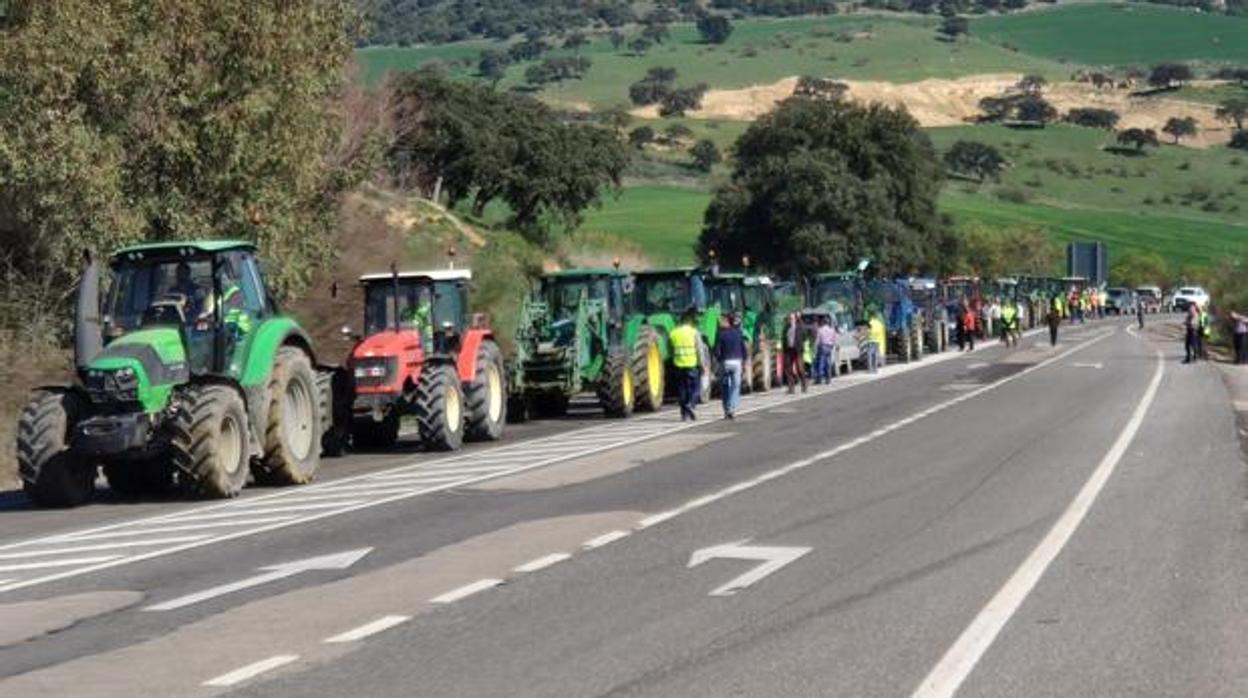 El sector agrario gaditano anuncia nuevas movilizaciones en Algeciras