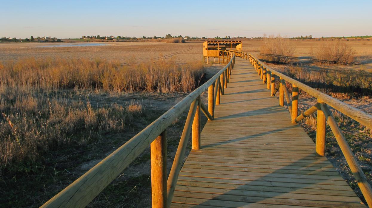 Una imagen panorámica de la laguna de Los Tollos, situada en el límite de las provincias de Sevilla y Cádiz