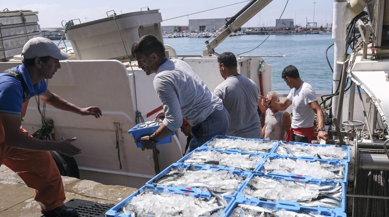 Pescadores descargando las capturas en la lonja de Barbate.