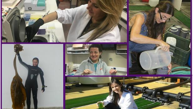 Seis mujeres líderes en investigaciones marinas internacionales desde el Sur de Europa