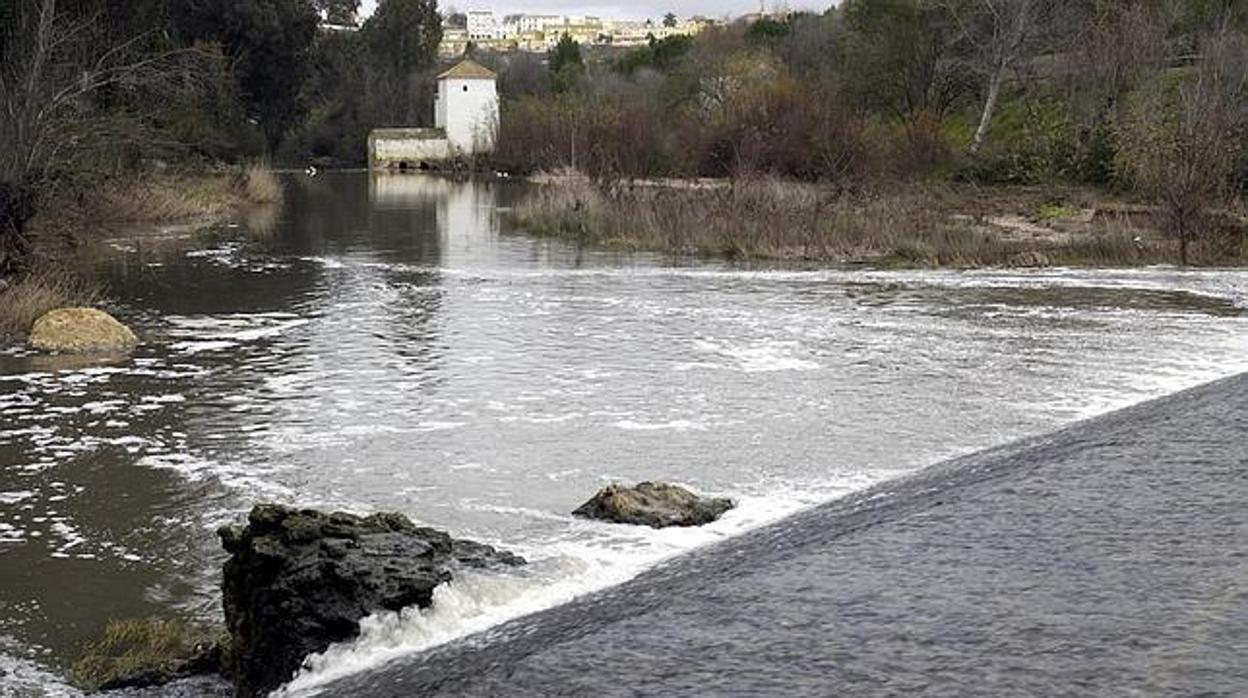 Imagen del cauce del río Guadaíra