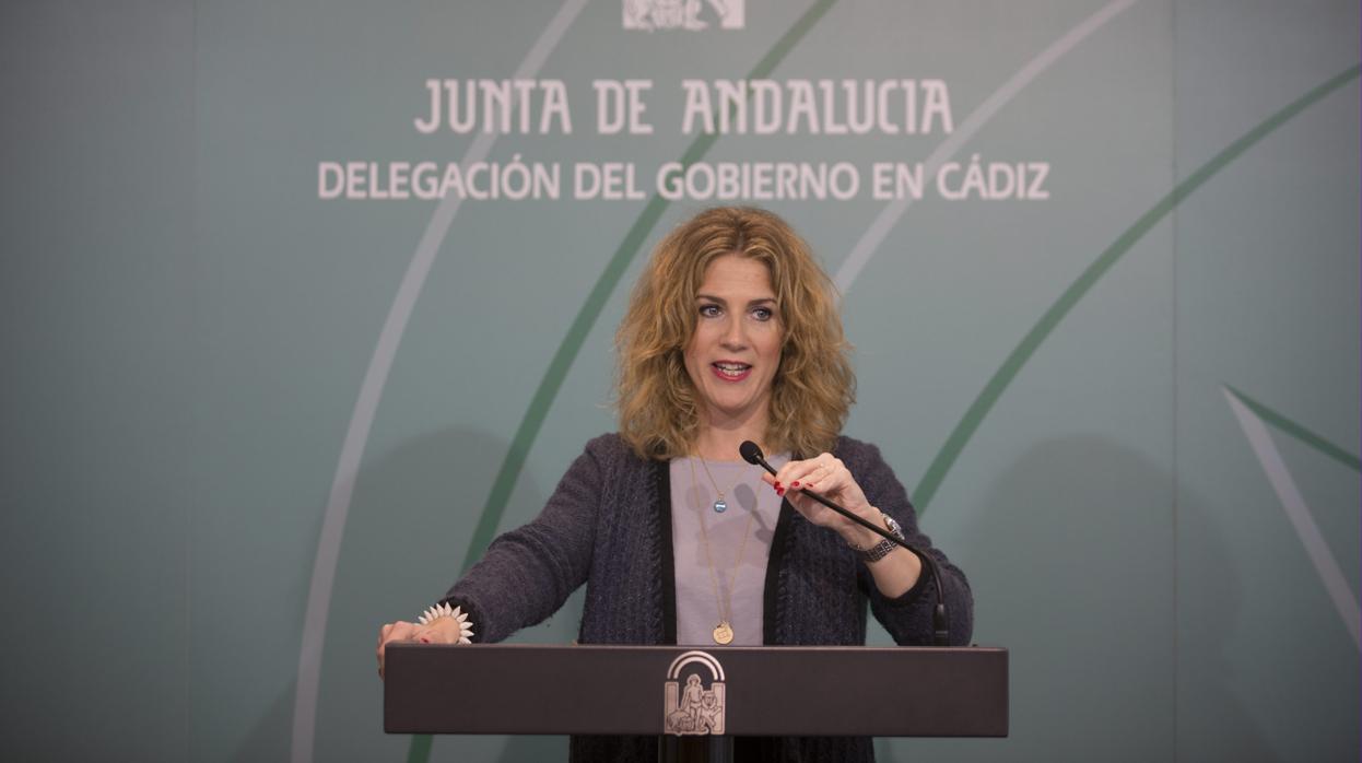 Ana Mestre durante una rueda de prensa