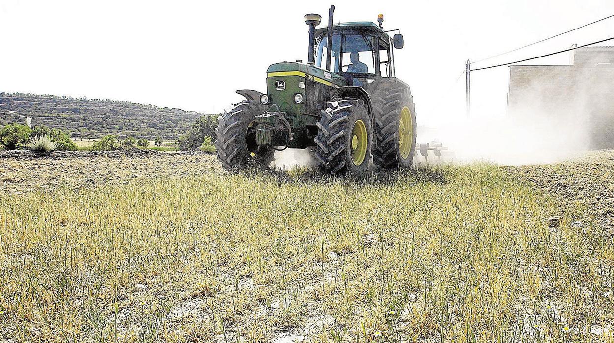 La Junta apoya la modernización de pymes agroalimentarias en la provincia de Cádiz