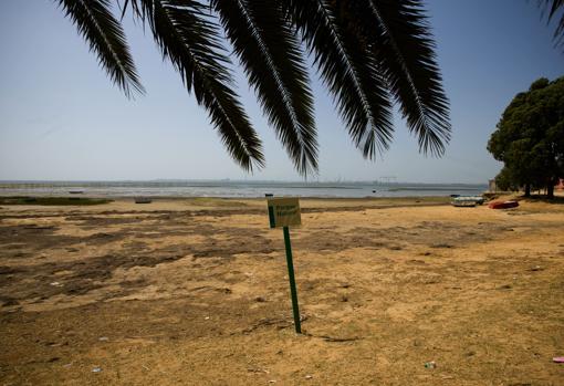 El plan de la Junta: abrir las playas en la provincia de Cádiz el 25 de mayo