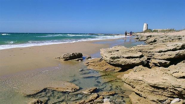 La playa de El Palmar tendrá una zona reservada a mayores de 65 y pasarelas de entrada y salida