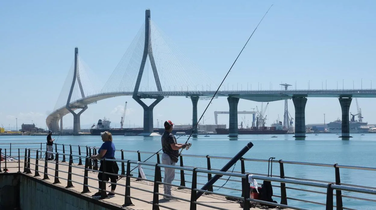 Aficionados a la pesca en Cádiz, tras levantarse la prohibición.