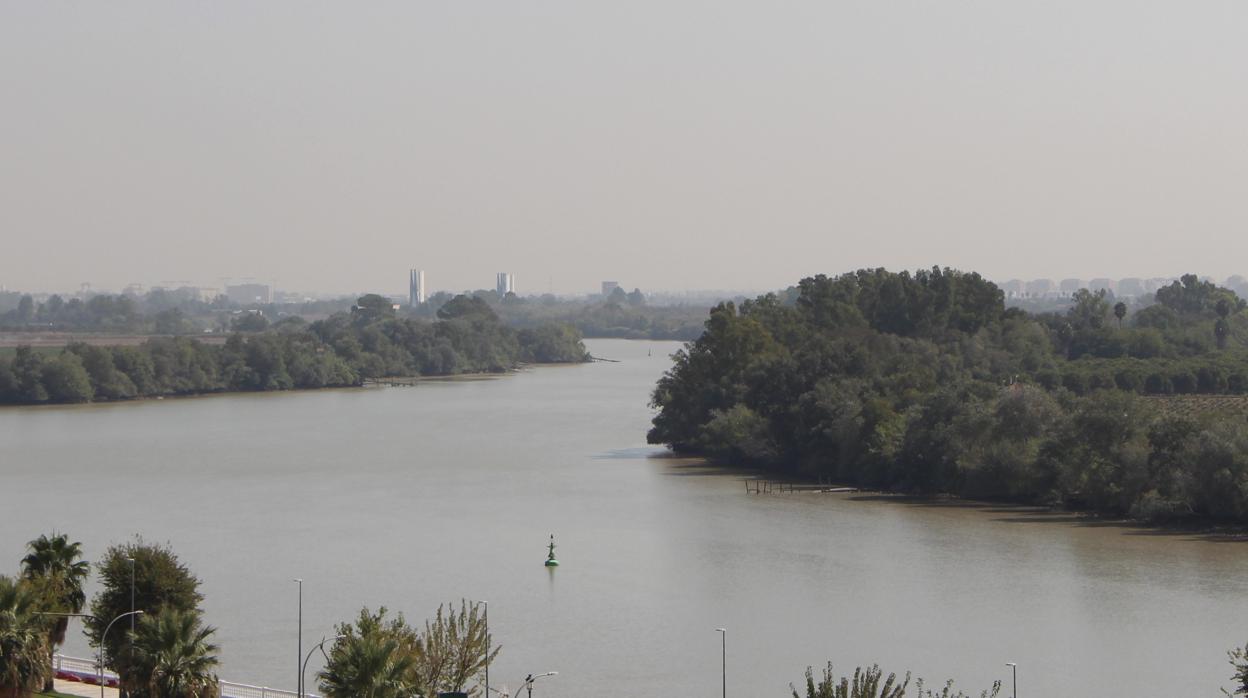 Vista del río Guadalquivir desde el Cerro Cantalobos de Coria del Río