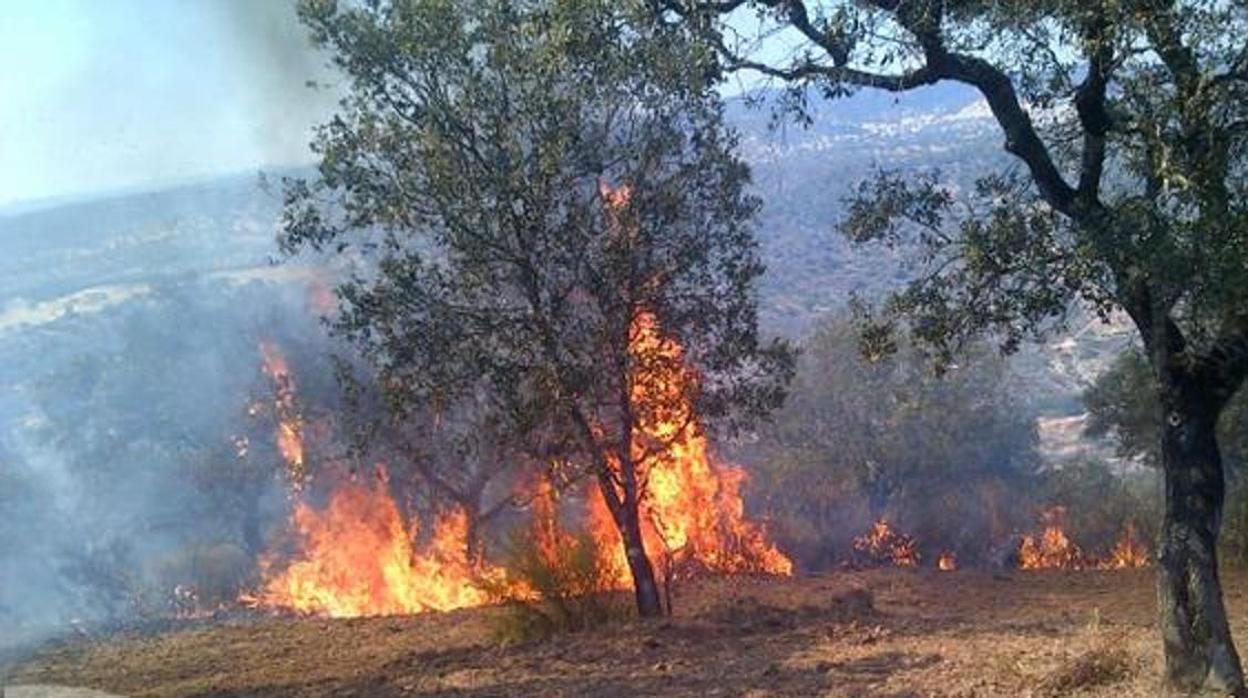 Imagen del incendio ocurrido este pasado verano en El Ronquillo