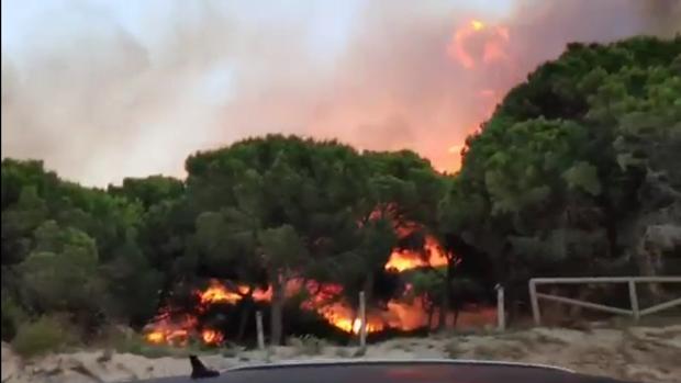 El incendio de Los Caños de Meca quema media hectárea de matorral y pinar