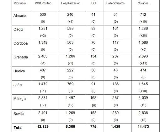 Coronavirus: Cádiz con dos positivos y Málaga con siete son las únicas provincias con contagios de Andalucía