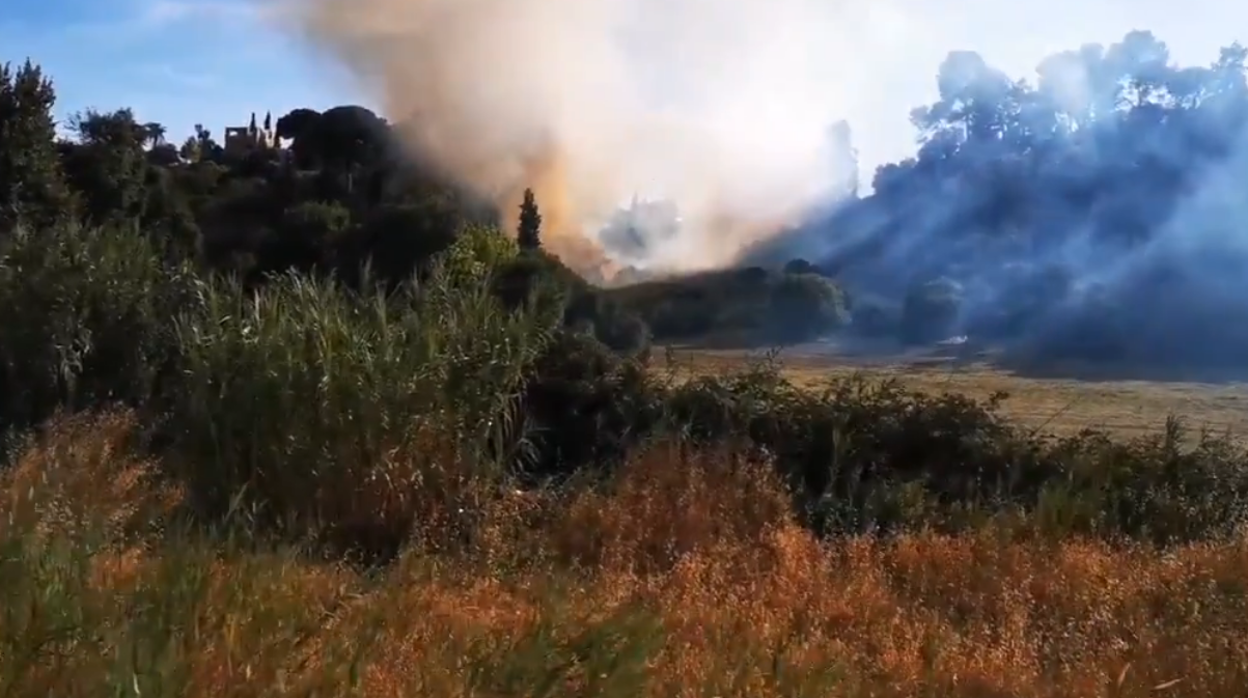 Imagen del incendio declarado en una zona de cañaveral entre Gelves y Mairena del Aljarafe