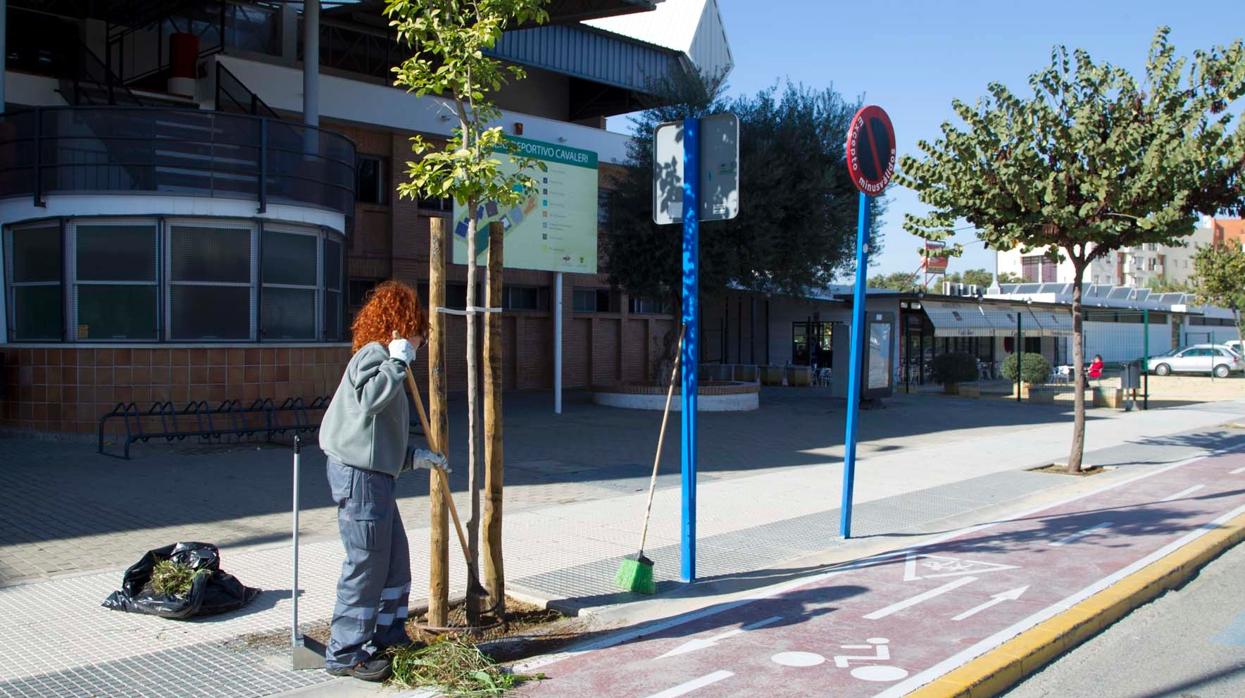 Una trabajadora realiza labores de limpieza junto al polideportivo Marina Alabau de Mairena del Aljarafe