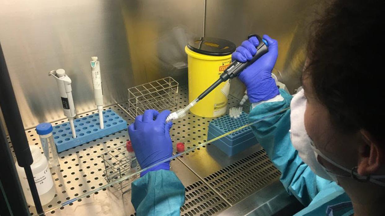 Una profesional trabajando en la Unidad de Microbiología del hospital Puerta del Mar de Cádiz.