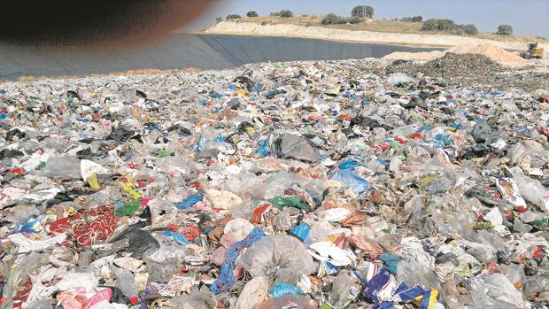 La estafa ecológica que destapó el escándalo en la Sierra Sur