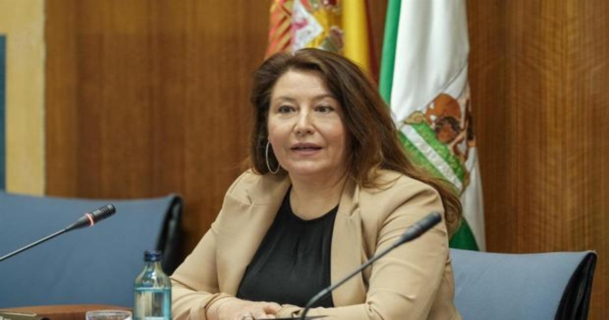 Carmen Crespo, en comisión parlamentaria