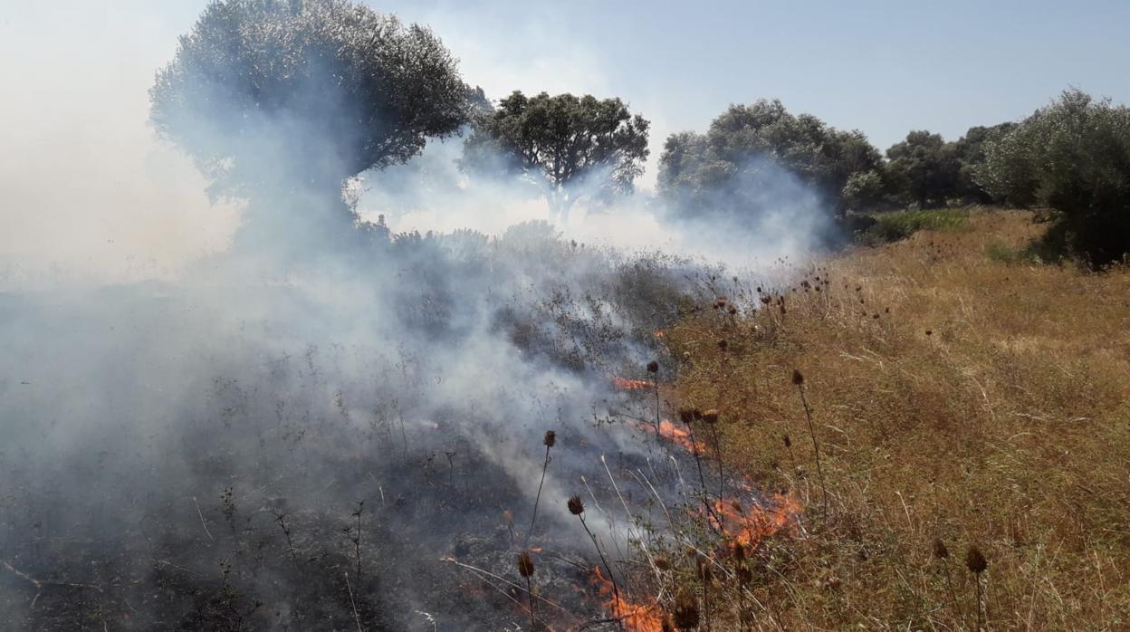 Los bomberos han controlado el fuego pese al fuerte viento de levante