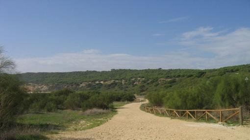 Inicio del sendero de los acantilados de Barbate