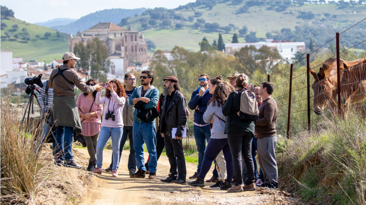 Ruta guiada realizada por los alrededores de Cazalla de la Sierra