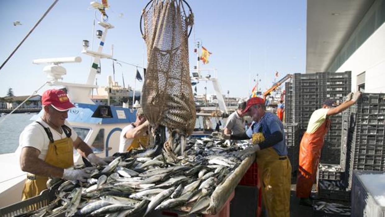 La contratación en el sector primario cayó en Cádiz en junio.