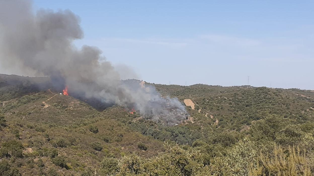 El incendio forestal en Aznalcóllar