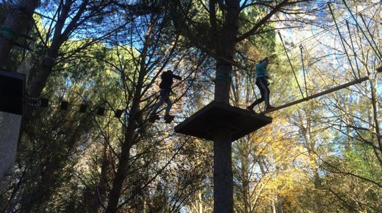 Bosque suspendido en plena Sierra Norte de Sevilla