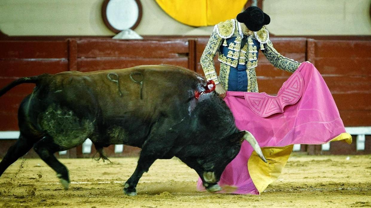 Abren expediente a la empresa responsable de la corrida de toros de El Puerto